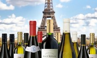 An insight into French wine