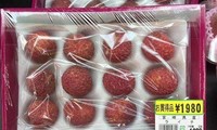 Vietnam’s fruit growers enjoy large export volumes 