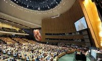 Vietnam apoya la reforma de la ONU