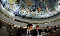 Condena la ONU violaciones de los derechos humanos en Siria