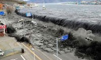 Vietnam conmemora un año del terremoto y tsunami en Japón.