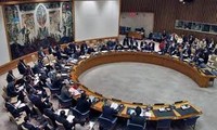 Comunidad mundial aplaude Declaración de la ONU sobre Siria