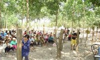 Vietnam impulsa enseñanza de oficios agrícolas a campesinos 