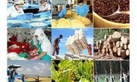 Aumentan exportaciones de productos agrícolas, forestales y pesqueros de Vietnam