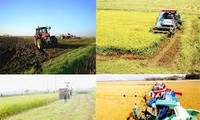 Mecanización eleva la producción agrícola y mejora la vida de campesinos