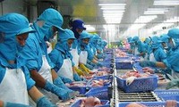 Empresas vietnamitas superan dificultades y reanudan su funcionamiento