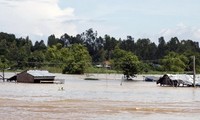 Vietnam entre 10 economías más vulnerables por desastres naturales