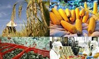 Crecen exportaciones agro-silvícolas y acuáticas de Vietnam 