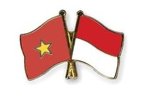 Vietnam e Indonesia avanzan hacia las relaciones de socio estratégico 