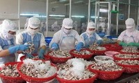 Corea del Sur- potencial de mercado acuícola vietnamita