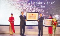 Vietnam se compromete a conservar y promover valores patrimoniales