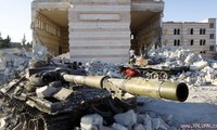 Consejo de Seguridad pidió localizar zonas de combate en Siria