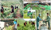 Vietnam mejora calidad de formación profesional para trabajadores rurales