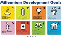 ONU aprecia Vietnam para consulta sobre programa de desarrollo posterior a 2015