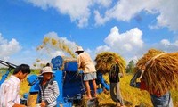 Destacan experiencias vietnamitas en el desarrollo agrícola 