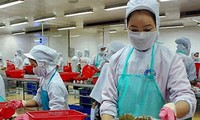 Incapaces de implantar impuesto anti-subsidio para camarón vietnamita 