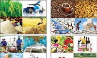 Vietnam construye marca agrícola a 5 años entrar en la OMC