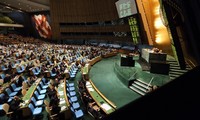 La Asamblea General de la ONU aprueba una nueva resolución sobre Siria