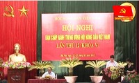 La Asociación de Agricultores de Vietnam contribuye al desarrollo cultural