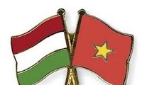 Vice premier vietnamita visita Hungría para fomentar relaciones bilaterales