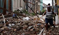 Empresas vietnamitas apoyan a Cuba a recuperar secuelas de desastre natural