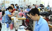 60% de los jóvenes vietnamitas tienen trabajo estable