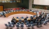 Alto consenso del Consejo de Seguridad de la ONU sobre el tema de Siria