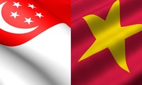 Intercambio comercial entre Vietnam y Singapur en bonanza