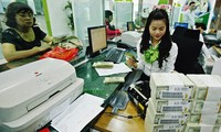 Economía de Vietnam puede pasar por el período más difícil