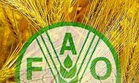 FAO llama a la alimentación sostenible y seguridad alimentaria 