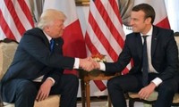 Presidentes estadounidense y francés debaten la coordinación de acción en Siria e Iraq