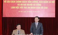 Vicepremier vietnamita trabaja con el Tribunal Popular Supremo en la reforma salarial