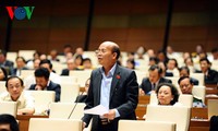 Diputados vietnamitas analizan la ley sobre el cuerpo diplomático del país en el extranjero 