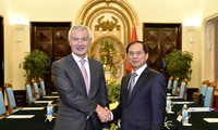Vietnam y Bélgica realizan consultas políticas entre sus Cancillerías 