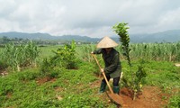 Cao Phong moviliza la fuerza poblacional para construir nuevas áreas rurales