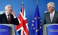 UE advierte a Londres tomar decisión sobre relaciones después del Brexit