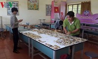 Le Van Hoang, un maestro apasionado de coleccionar objetos arqueológicos