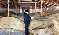 Tran Ngoc Tuan, granjero vietnamita prospera en Rusia