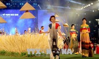 Concluye V Festival de Ao Dai en Ciudad Ho Chi Minh
