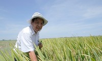 Tran Duy Quy, un científico talentoso del sector agrícola de Vietnam 