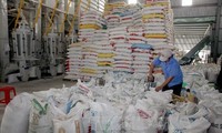 Aumentan exportaciones de arroz de Vietnam a Malasia 