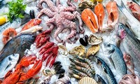 UE prolongará hasta el próximo año tarjeta amarilla a los productos acuícolas de Vietnam