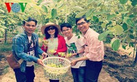 Viajes de “experiencias rurales” en Ninh Thuan