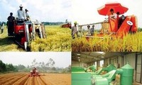 Transformaciones en espacios rurales de Vietnam después de 10 años de aplicación de la Resolución 26