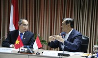 Vietnam e Indonesia impulsan cooperación en respuesta al cambio climático