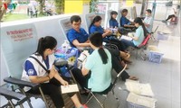 Participan jóvenes nacionales y extranjeros en el Festival Mundial del Voluntariado en Vietnam 