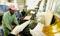 Vietnam por promover la construcción de la marca de arroz 