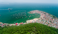 Vietnam promueve investigación sobre ecosistemas marinos 
