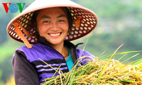 Vietnam por integrar la igualdad de género en objetivos de desarrollo de minorías étnicas