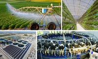 Vietnam promueve aplicación tecnológica de riego por goteo en la agricultura
